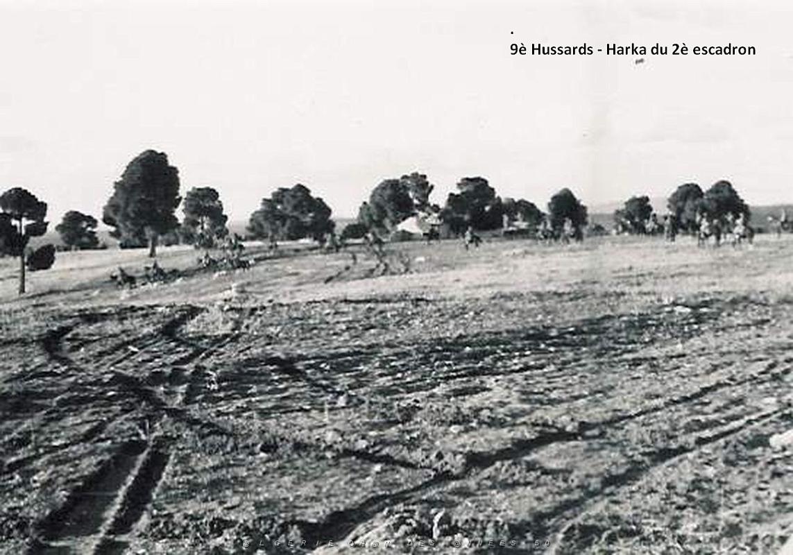 HARKA 6.jpg